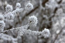 Michael-Hoenig-Erstarrte-Zeit