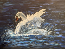Schwan