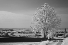 Landschaft---infrarot