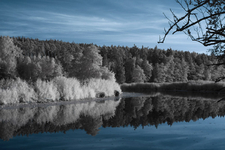 Landschaft-2---infrarot